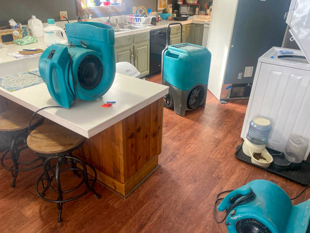 Best Water damage cleanup near me  in Clinton, AR