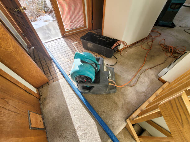Best Local water damage restoration  in Clinton, AR