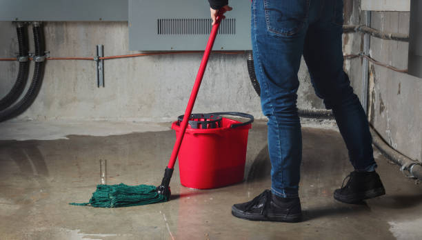 Best Mold removal after water damage  in Clinton, AR