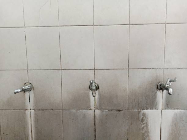 Best Flooded house restoration  in Clinton, AR