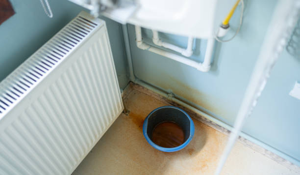 Best Flood restoration services  in Clinton, AR