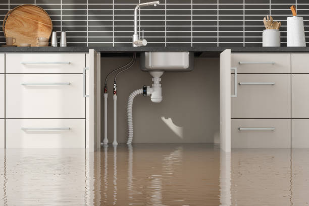 Best Mold removal after water damage  in Clinton, AR