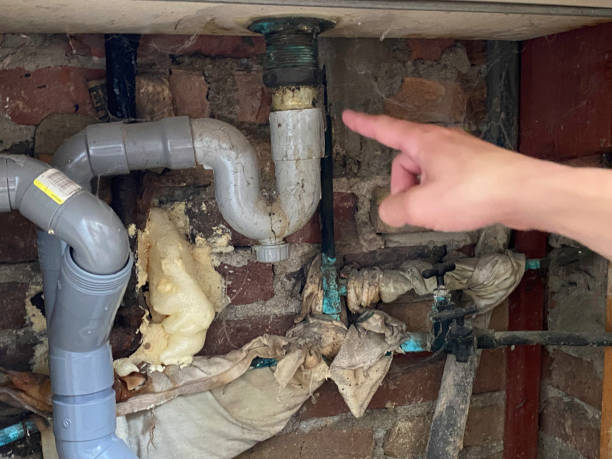 Best Professional water damage repair  in Clinton, AR