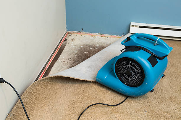 Water damage restoration mold remediation in AR